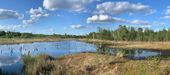 Moorsee